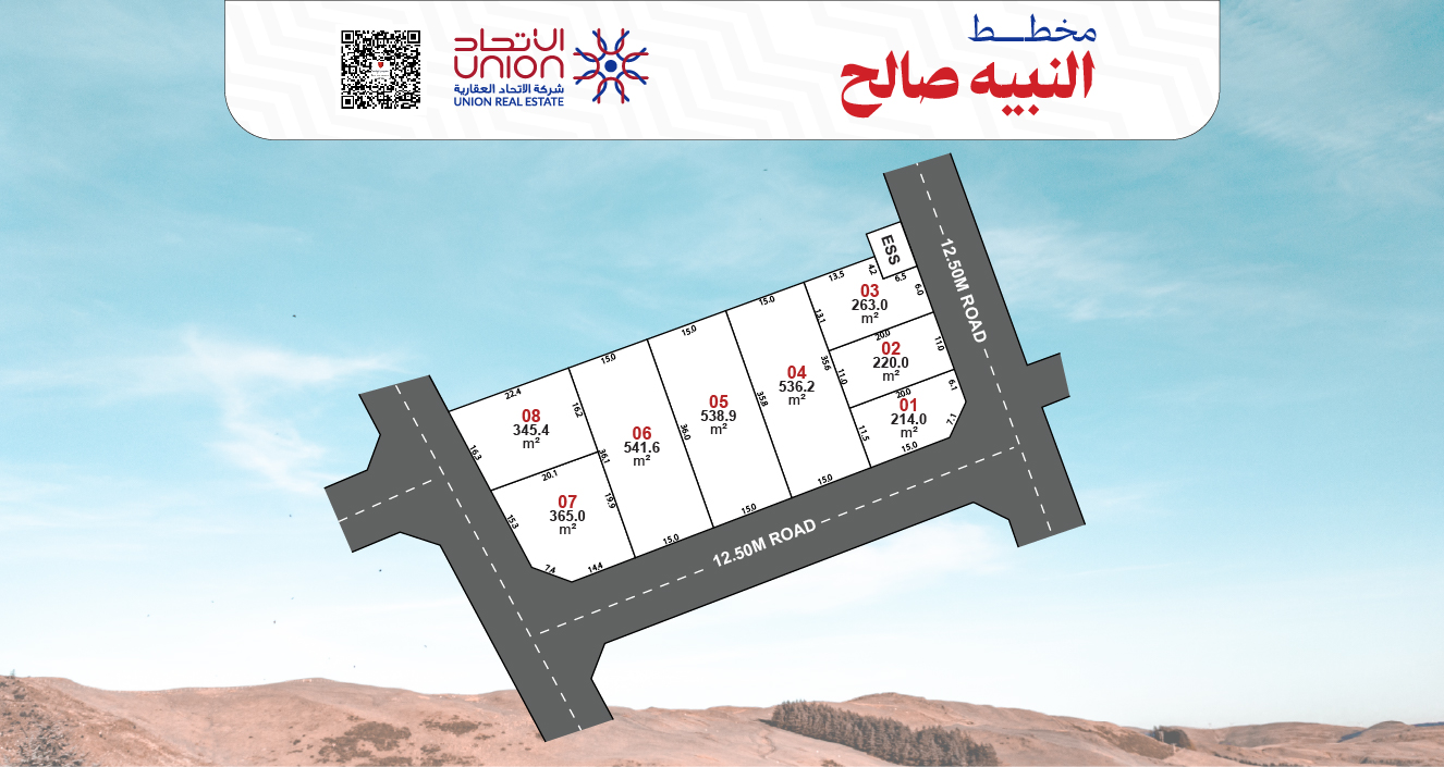 النبيه صالح